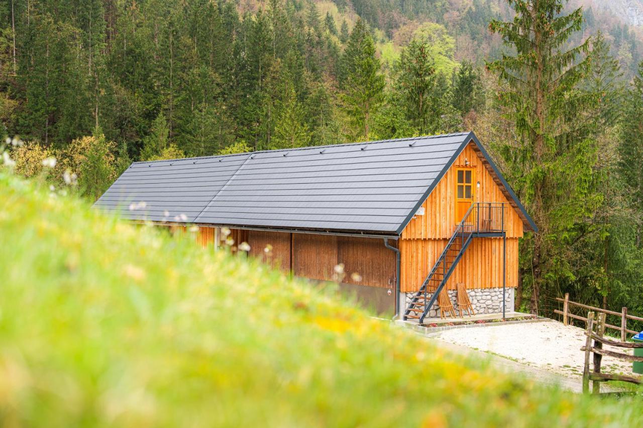 Organic Tourist Farm Pri Plajerju Apartment Trenta Exterior foto